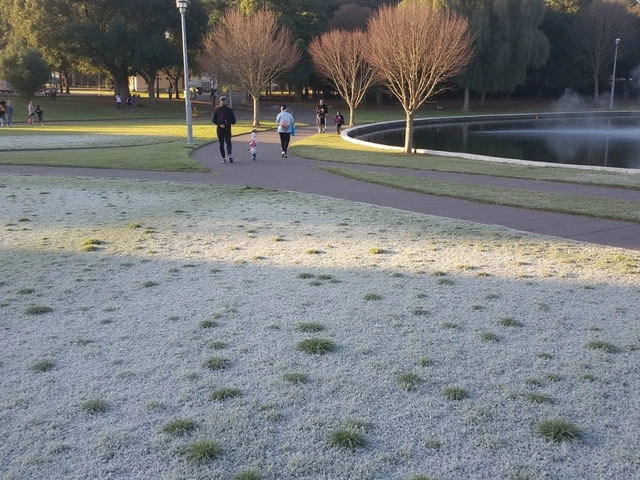 Recorde de Frio: Curitiba e Mais Três Capitais Atingem Menor Temperatura do Ano